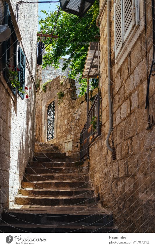 Dubrovnik XVll Ferien & Urlaub & Reisen Tourismus Sightseeing Städtereise Haus Sommer Schönes Wetter Pflanze Blume Kroatien Stadt Altstadt Bauwerk Gebäude