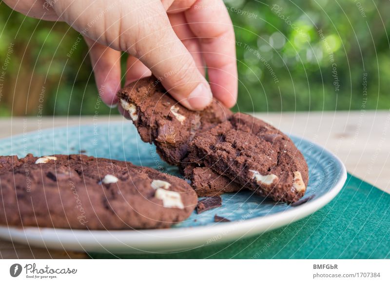 Unwiderstehlich Lebensmittel Teigwaren Backwaren Kuchen Dessert Süßwaren Schokolade Keks Frühstück Kaffeetrinken Picknick Teller Freizeit & Hobby backen Garten