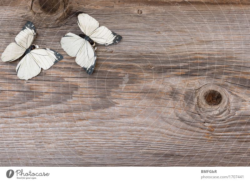 Hintergrund - Holziges und Luftiges Schmetterling 2 Tier Spielzeug Kitsch Krimskrams Dekoration & Verzierung fliegen alt einfach Fröhlichkeit frisch