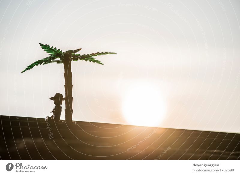 Zahlen der Palme und des Mannes auf Sonnenuntergang schön Ferien & Urlaub & Reisen Klettern Bergsteigen Erwachsene Natur Landschaft Pflanze Himmel Wolken Baum