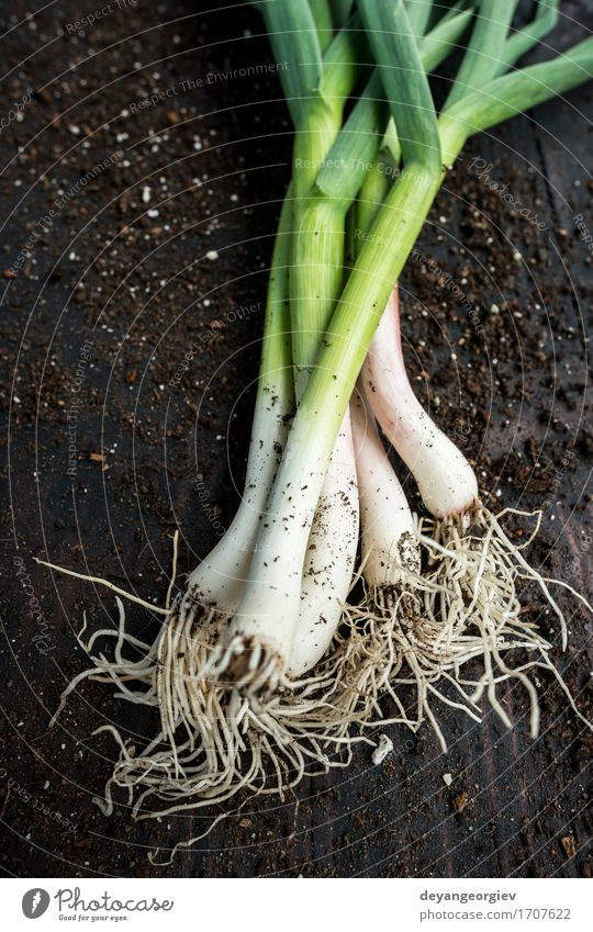 Frischer grüner Knoblauch Gemüse Kräuter & Gewürze Essen Vegetarische Ernährung Natur Blatt frisch Frühling organisch Porree roh Geruch Zutaten aromatisch Lauch