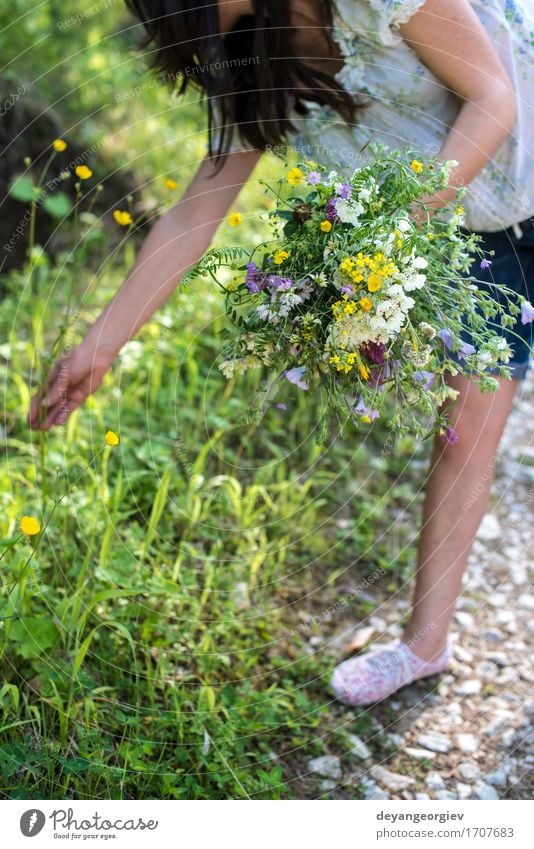 Frau sammelt Blumen im Wald schön Sommer Garten Gartenarbeit Mädchen Erwachsene Natur Pflanze Gras Wiese Kleid Behaarung Blumenstrauß niedlich wild grün jung