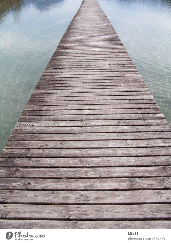 Ohne Ende Farbfoto Außenaufnahme Menschenleer Tag Reflexion & Spiegelung Zentralperspektive Natur Landschaft Wasser Herbst Seeufer Holz Linie Steg Wege & Pfade