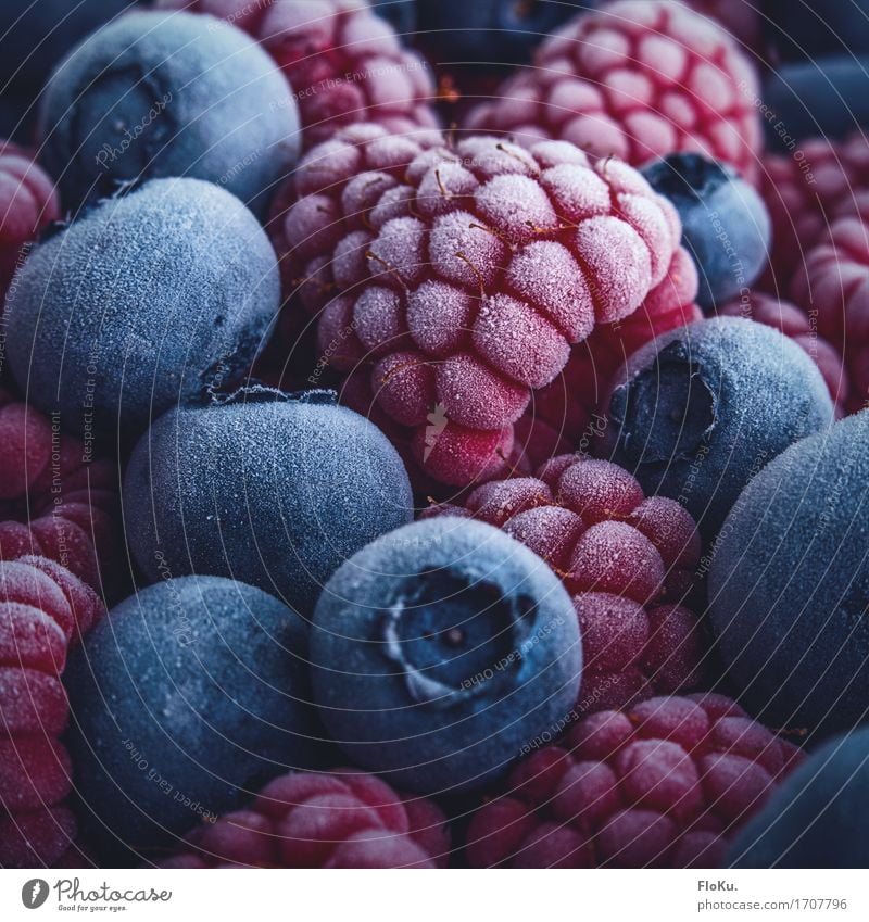 Beeren auf Eis gelegt (und im Gefrierschrank vergessen) Lebensmittel Frucht Ernährung Essen Bioprodukte Vegetarische Ernährung Diät Frost frisch Gesundheit kalt