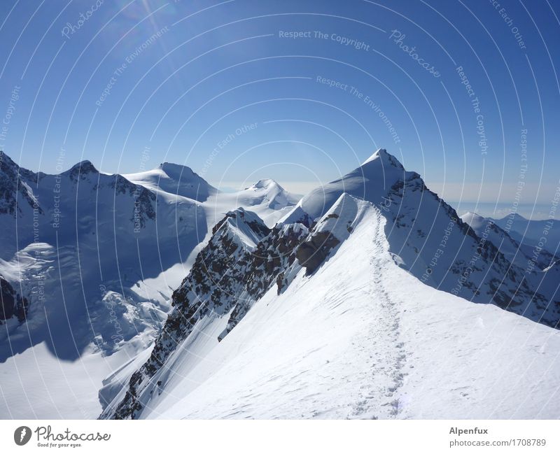 Stairway to Heaven Klettern Bergsteigen Bergsteiger Umwelt Natur Landschaft Wolkenloser Himmel Schönes Wetter Eis Frost Schnee Felsen Alpen Berge u. Gebirge