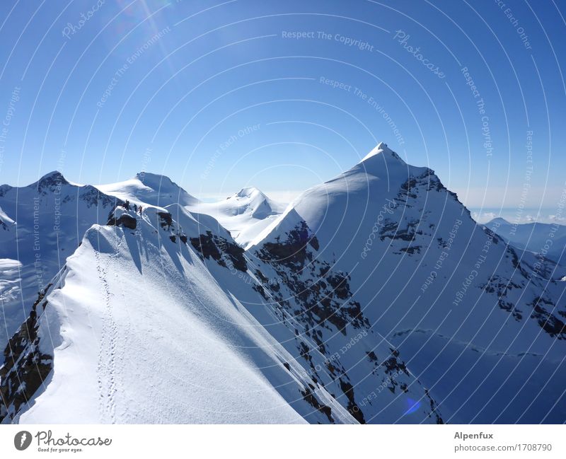 Stairway to Heaven III Klettern Bergsteigen Bergsteiger Umwelt Natur Landschaft Wolkenloser Himmel Schönes Wetter Eis Frost Schnee Felsen Alpen Berge u. Gebirge