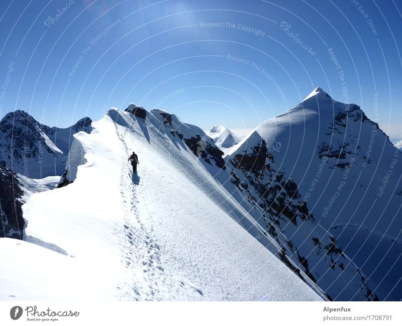 Stairway to Heaven II Klettern Bergsteigen Bergsteiger Umwelt Natur Landschaft Wolkenloser Himmel Schönes Wetter Eis Frost Schnee Felsen Alpen Berge u. Gebirge