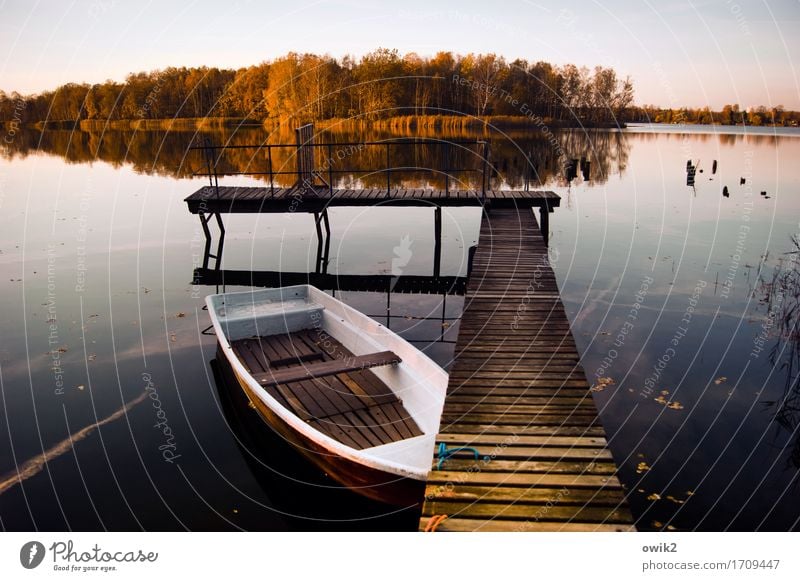 Ruder vergessen Umwelt Natur Landschaft Wasser Wolkenloser Himmel Horizont Herbst Klima Schönes Wetter Baum Wald Seeufer Insel Ruderboot Anlegestelle Steg ruhig