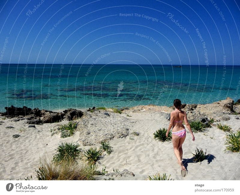 Im Paradies Farbfoto Außenaufnahme Textfreiraum links Textfreiraum Mitte Tag Sonnenlicht Blick nach vorn Sommer Strand Meer feminin Junge Frau Jugendliche 1