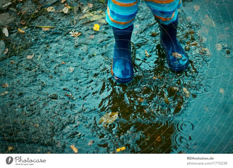 Pfützenspaß Mensch maskulin Kind Kleinkind Junge Fuß 1 1-3 Jahre Gummistiefel Wasser Spielen Fröhlichkeit Glück klein nass natürlich Freude Zufriedenheit