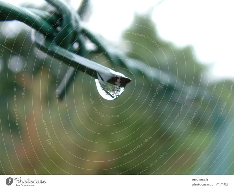 regentag Zaun Stacheldraht Grenze grün gefangen Trauer Gegenteil Draht Eisen Wassertropfen Regen Spitze Barriere