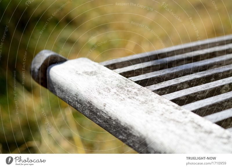 Sitzecke Lifestyle Stil Freizeit & Hobby Sommer Häusliches Leben Garten Möbel Stuhl Gartenstuhl Herbst Wetter Wiese Holz alt eckig einfach nah schön braun grau