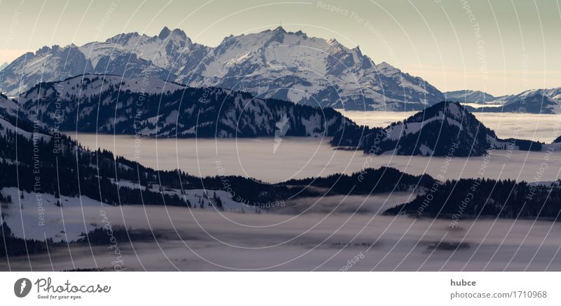 Nebelmeer im Bregenzerwald Natur Landschaft Wolkenloser Himmel Winter Wetter Schnee Wald Berge u. Gebirge Alpen Glück Euphorie schön ruhig Abenteuer ästhetisch