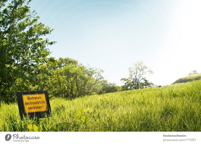 Der Himmel ist gleich um die Ecke harmonisch Sommer Natur Landschaft Schönes Wetter Gras Park Hügel Zeichen Schriftzeichen Schilder & Markierungen Hinweisschild