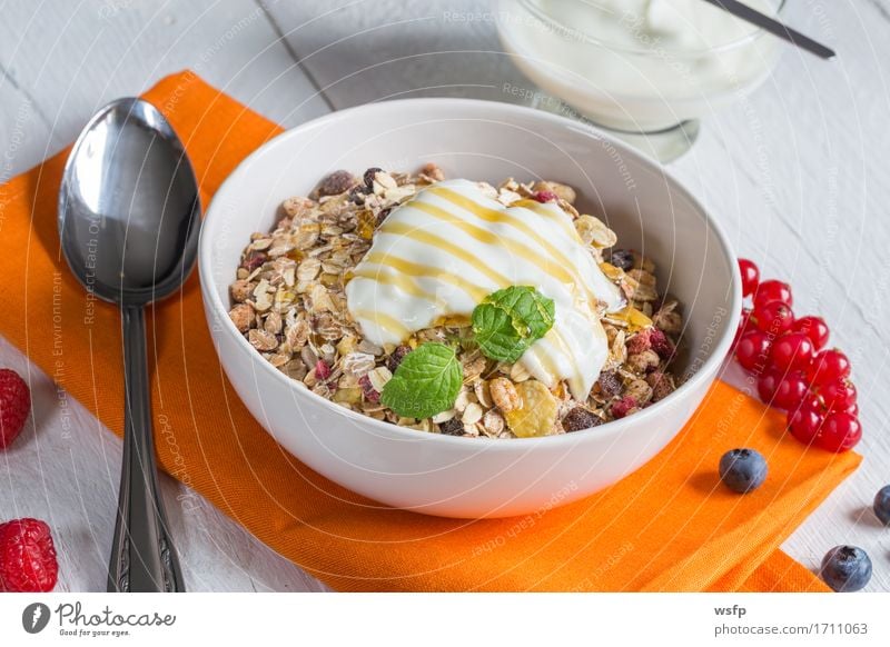 Müsli mit Joghurt und Früchten auf Holz Frucht Frühstück orange Zerealien Früchtemüsli Haferflocken Honig Himbeer Johannisbeeren Blaubeeren Minze