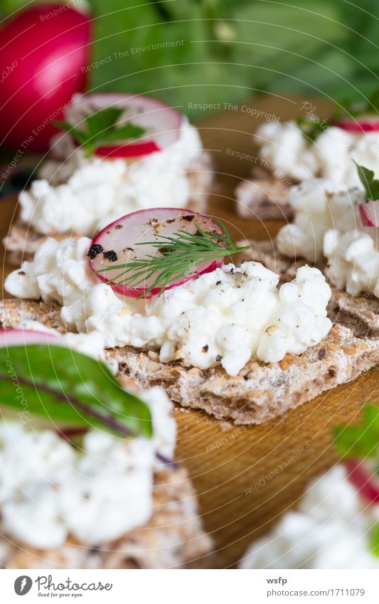 Knäckebrot mit Hüttenkäse Radieschen und Kräutern Kräuter & Gewürze Holz blau Schnittlauch Dill Petersilie rote bete blätter Holzbrett Snack gesunder snack