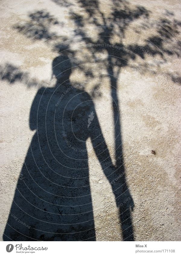 Mein Freund der Baum Schwarzweißfoto Außenaufnahme Schatten Silhouette Partner Leben 1 Mensch Natur Schönes Wetter Park Straße Wege & Pfade Sand Beton Umarmen