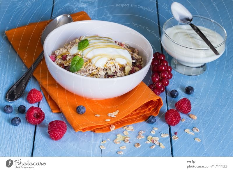 Müsli mit Joghurt und Früchten auf Holz Frucht Frühstück blau Zerealien Früchtemüsli Haferflocken Orange Honig Himbeer Johannisbeeren Blaubeeren Minze