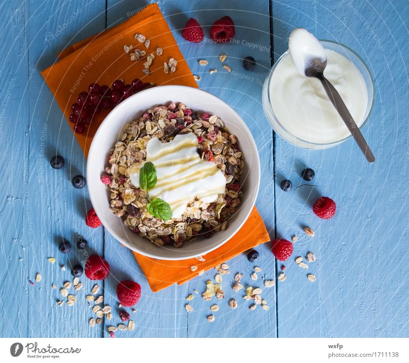 Müsli mit Joghurt und Früchten auf Holz Frucht Frühstück blau Zerealien Früchtemüsli Haferflocken Orange Honig Himbeer Johannisbeeren Blaubeeren Minze