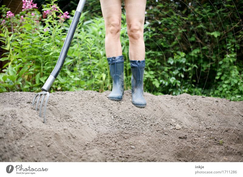 Giersch ausgraben | Freizeit & Hobby Gartenarbeit Leben Knie Beine 1 Mensch Erde Sommer Schönes Wetter Gummistiefel Grabgabel Gartengeräte stehen fleißig Hügel