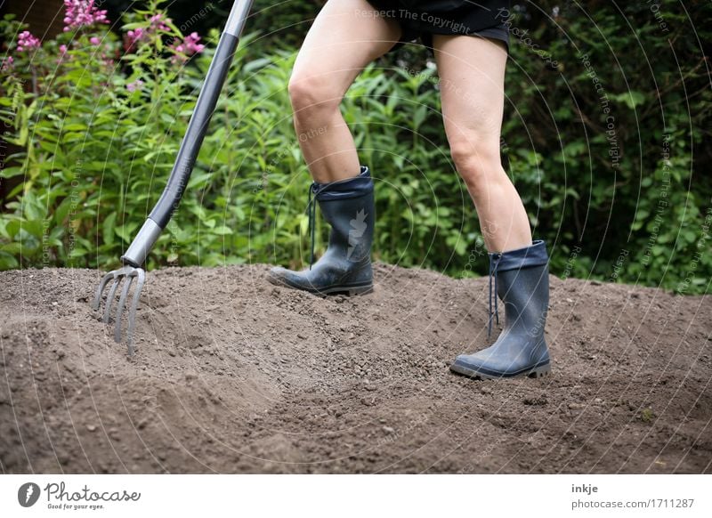 Giersch ausgraben || Erwachsene Leben Beine 1 Mensch Erde Sommer Schönes Wetter Garten Gummistiefel Grabgabel Gartengeräte stehen Tatkraft fleißig anstrengen