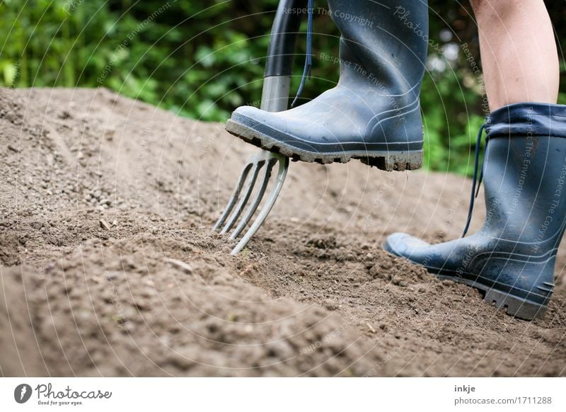 Giersch ausgraben ||| Gartenarbeit Erwachsene Leben Fuß 1 Mensch Erde Sommer Schönes Wetter Gummistiefel Gartengeräte Grabgabel fleißig Graben Farbfoto