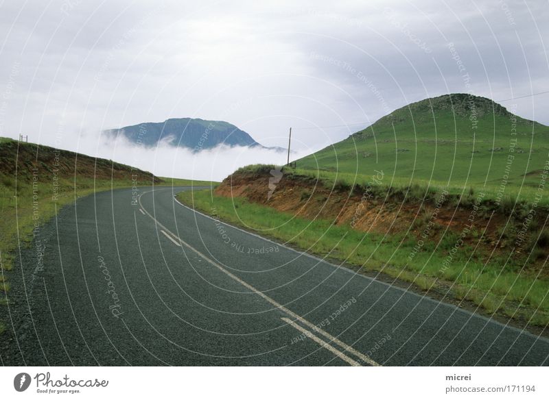 Fog Farbfoto Außenaufnahme Menschenleer Tag Panorama (Aussicht) Ferien & Urlaub & Reisen Tourismus Natur Landschaft Frühling Herbst Wetter Nebel Hügel Straße