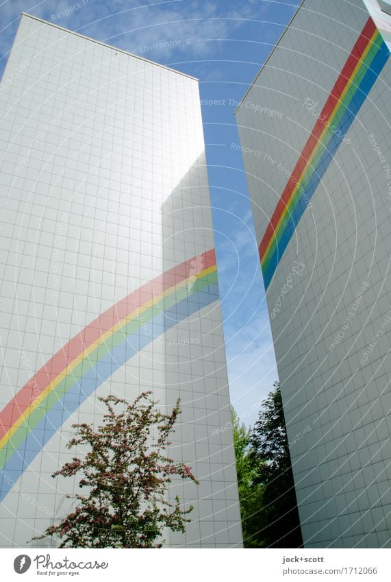 Regenbogen eine Fassade Design Architektur Himmel Frühling Schönes Wetter Baum Plattenbau Brandmauer Zeichen Streifen Einigkeit ästhetisch Inspiration