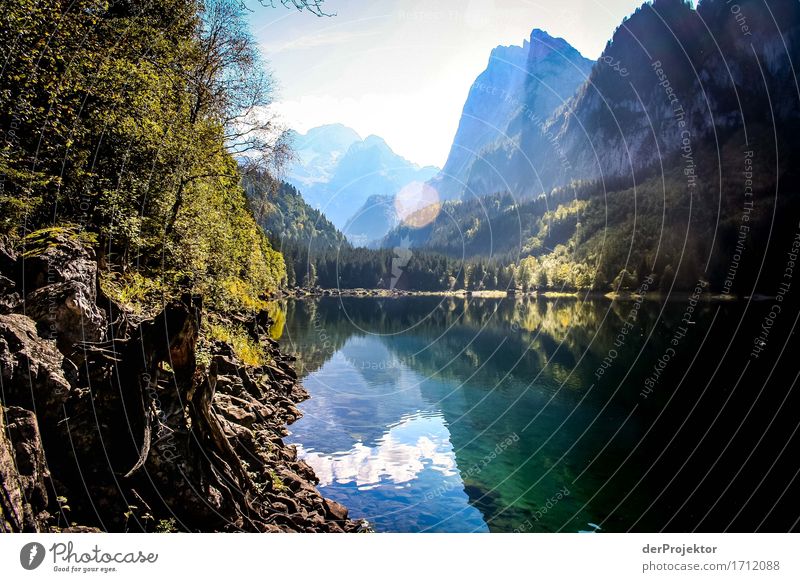 Goldener Herbst im Salzkammergut Ferien & Urlaub & Reisen Tourismus Ausflug Abenteuer Ferne Freiheit Berge u. Gebirge wandern Umwelt Natur Landschaft Pflanze