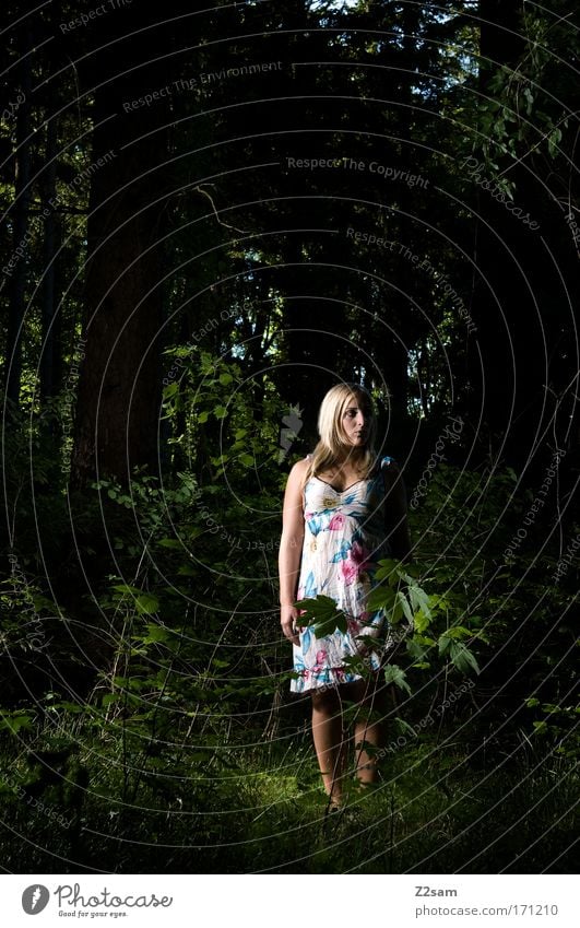 alone in the dark Außenaufnahme Kunstlicht Wegsehen feminin Junge Frau Jugendliche 18-30 Jahre Erwachsene Natur Wald Mode Kleid blond stehen bedrohlich dunkel