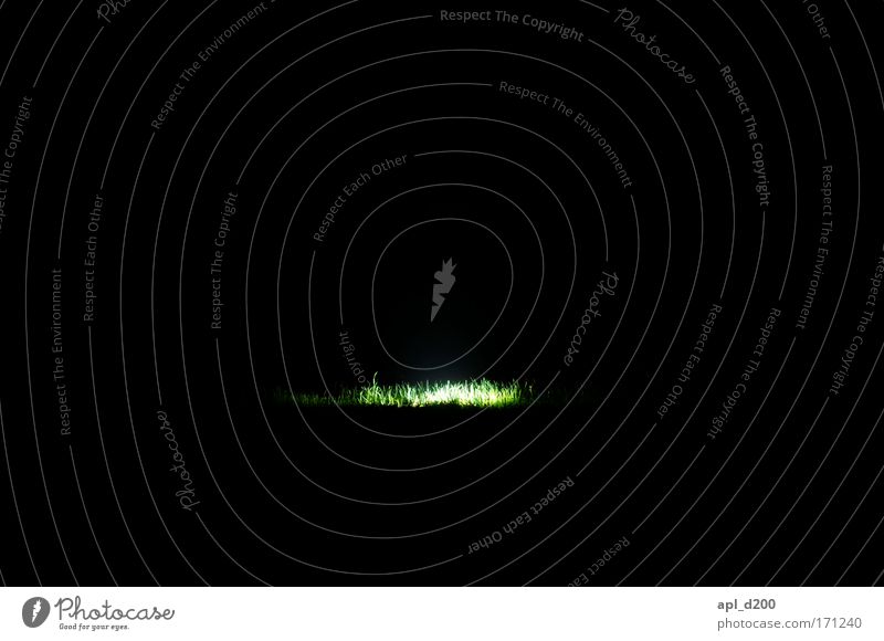 Wiesenglühen Farbfoto Außenaufnahme Experiment Textfreiraum links Textfreiraum rechts Textfreiraum oben Textfreiraum unten Nacht Kunstlicht Totale Lampe