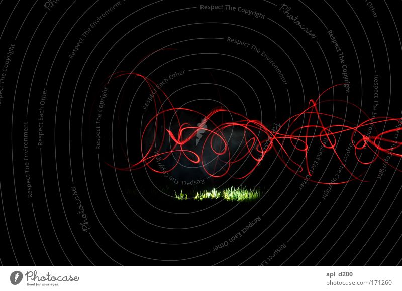 Wiesenglühen vier Farbfoto Außenaufnahme Textfreiraum oben Textfreiraum unten Nacht Licht Zentralperspektive Design Technik & Technologie Energiewirtschaft Show