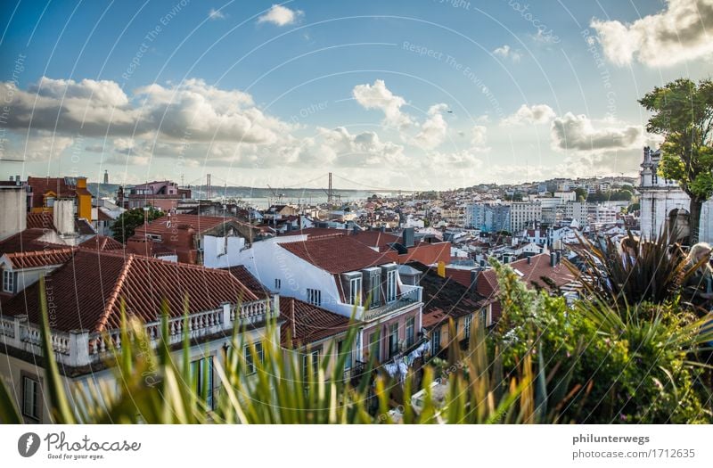 Over the roofs of Lisboa Nachtleben Entertainment Party Veranstaltung Himmel Wolken Sonne Schönes Wetter Wärme Bucht Lissabon Portugal Stadt Stadtzentrum