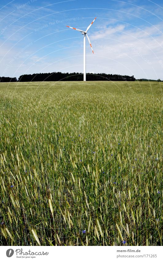 windrad mit biomasse Weizen Roggen Getreide Feld Erneuerbare Energie energie Wind Elektrizität grün Landschaft Zerstörung Brandenburg