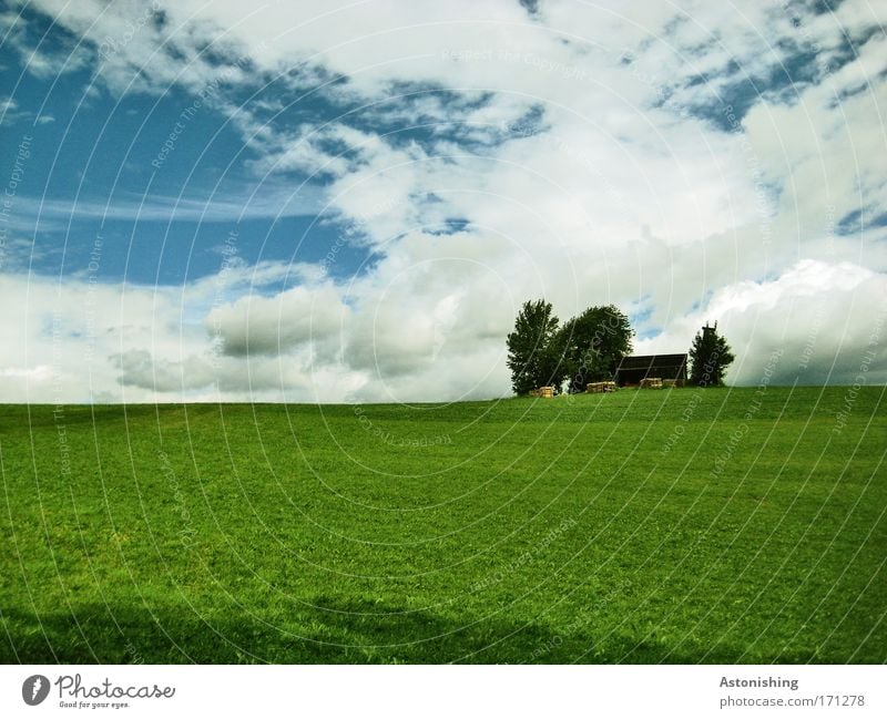 drüben am Hügel Umwelt Natur Landschaft Himmel Wolken Sommer Wetter Pflanze Baum Gras Hütte schön blau grün weiß Farbfoto mehrfarbig Außenaufnahme Menschenleer