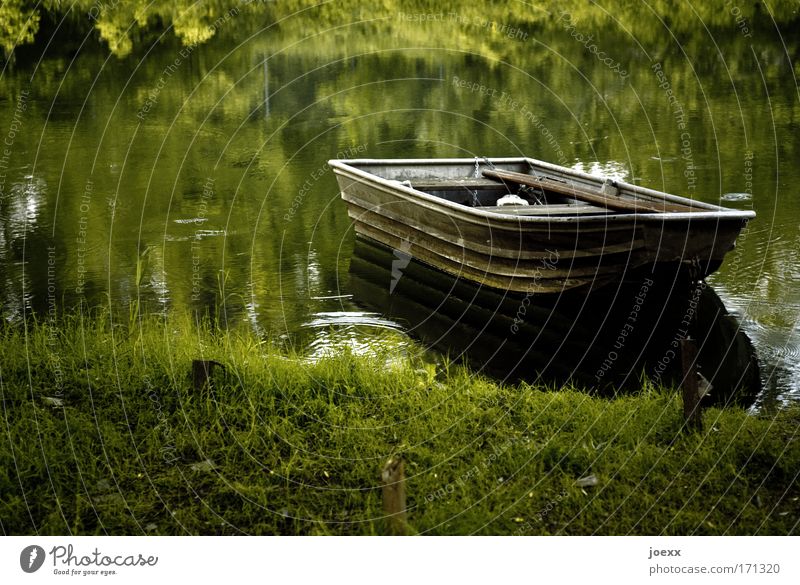 Fisherman's Friend Farbfoto Außenaufnahme Textfreiraum links Morgen Morgendämmerung Abend Dämmerung Natur Wasser Seeufer Flussufer Teich ruhig Anglerboot Wiese