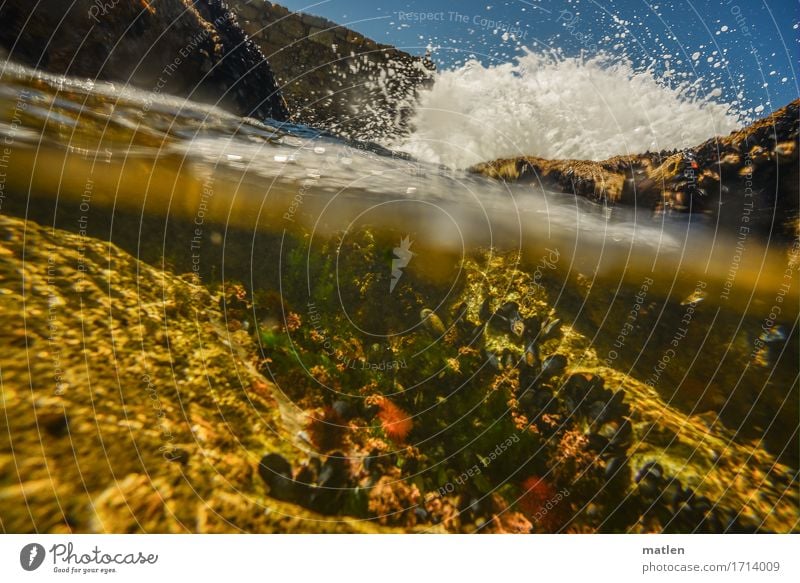 Wasserspiegel Natur Landschaft Pflanze Luft Wassertropfen Himmel Wolkenloser Himmel Sommer Wetter Schönes Wetter Felsen Wellen Küste Meer frisch blau braun gelb