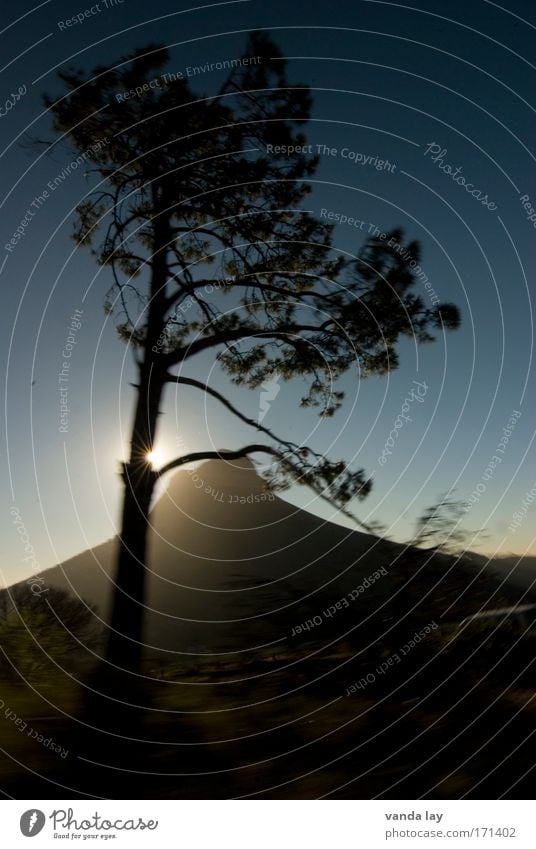 Im vorbeifahren Farbfoto Außenaufnahme Menschenleer Textfreiraum unten Morgendämmerung Dämmerung Schatten Kontrast Silhouette Sonnenlicht Sonnenstrahlen