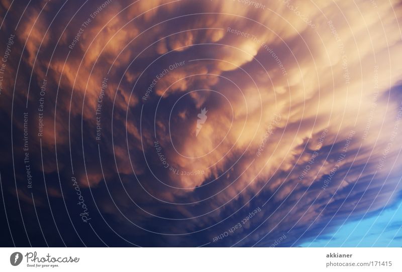 Böse Wolke Farbfoto Außenaufnahme Menschenleer Dämmerung Zentralperspektive Blick Umwelt Natur Landschaft Himmel nur Himmel Wolkenloser Himmel Gewitterwolken