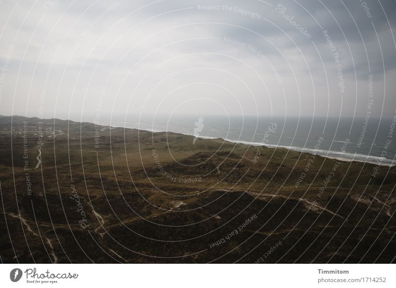 Weite soweit man sieht. Ferien & Urlaub & Reisen Umwelt Natur Landschaft Wasser Himmel Wolken schlechtes Wetter Dänemark Wege & Pfade dunkel Nordsee Stranddüne