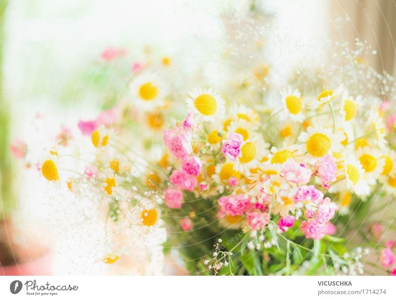 Wilde Margeriten Bündel mit kleinen rosa Rosen am Fenster Lifestyle Design Sommer Häusliches Leben Wohnung Innenarchitektur Dekoration & Verzierung Raum Natur