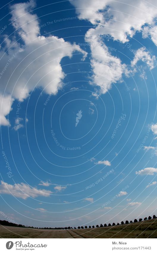 Dem Himmel so nah... Fischauge Umwelt Natur Landschaft Erde Wolken Horizont Sommer Klima Klimawandel Wetter Schönes Wetter Baum Feld Frühlingsgefühle Freiheit