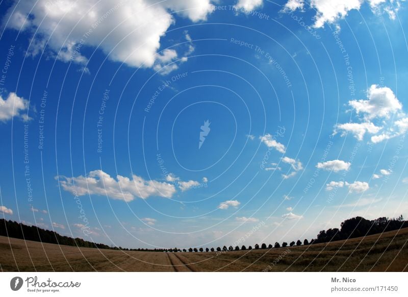 Dem Himmel so nah... 16:9 Sonnenlicht Sommerurlaub Umwelt Natur Landschaft Wolken Horizont Klima Klimawandel Wetter Schönes Wetter Baum Feld