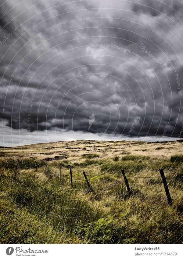 Atmosphärisches Moorland Umwelt Natur Landschaft Himmel Wolken Klima Wetter Unwetter Regen Gras Wiese dunkel natürlich trist grau grün Stimmung Angst Entsetzen