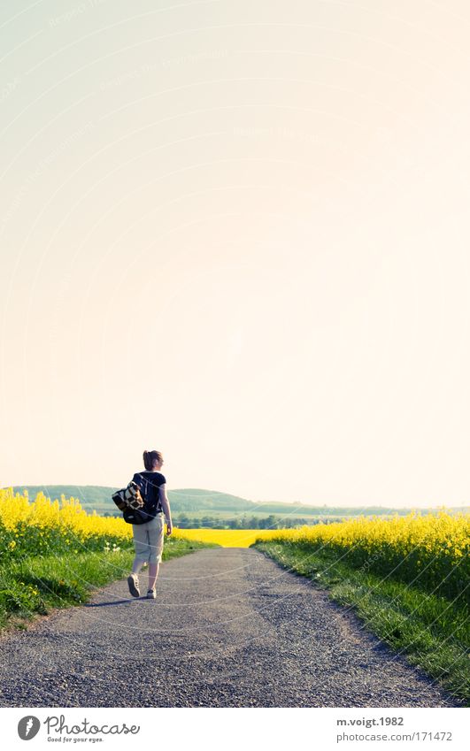 Wanderschaft Farbfoto Textfreiraum oben Abend Sonnenlicht Blick nach vorn Spaziergang wandern Junge Frau Jugendliche 1 Mensch 18-30 Jahre Erwachsene Natur