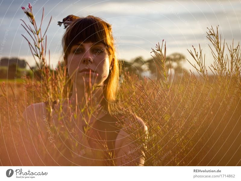 Carina | im Abendlicht Mensch feminin Junge Frau Jugendliche Gesicht 1 18-30 Jahre Erwachsene Umwelt Natur Landschaft Himmel Wolken Sonne Wiese Feld Piercing