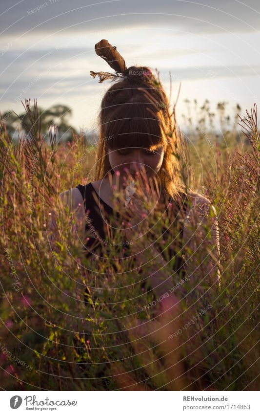 Carina | im Abendlicht Mensch feminin Junge Frau Jugendliche 1 18-30 Jahre Erwachsene Umwelt Natur Landschaft Himmel Sommer Schönes Wetter Blume Gras Wiese