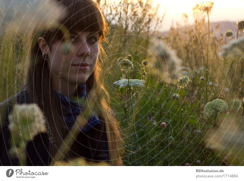 Carina | Portrait in einer Sommerwiese Lifestyle Stil Mensch feminin Junge Frau Jugendliche Erwachsene Gesicht 1 18-30 Jahre Umwelt Natur Landschaft Blume