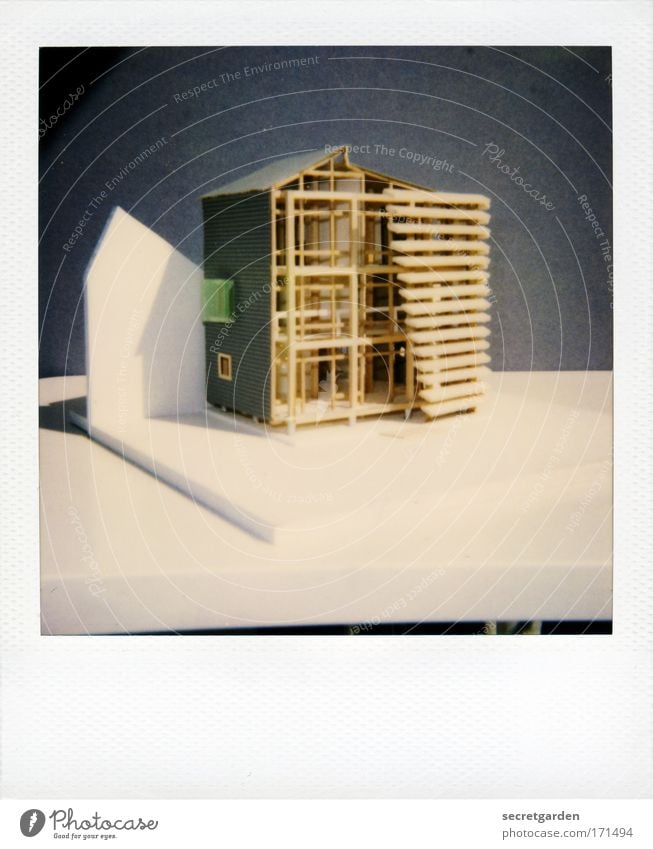 architekturstudentin, 1. semester Farbfoto Gedeckte Farben Studioaufnahme Nahaufnahme Polaroid Textfreiraum Mitte Hintergrund neutral Kunstlicht