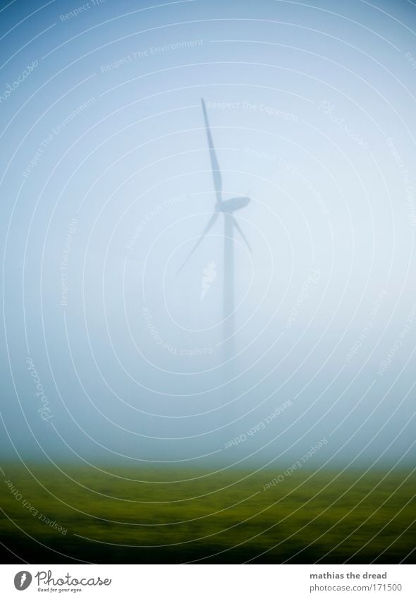 VOM WINDE VERWEHT Farbfoto Gedeckte Farben Außenaufnahme Menschenleer Morgen Morgendämmerung Dämmerung Schatten Silhouette Umwelt Natur Landschaft Luft Himmel